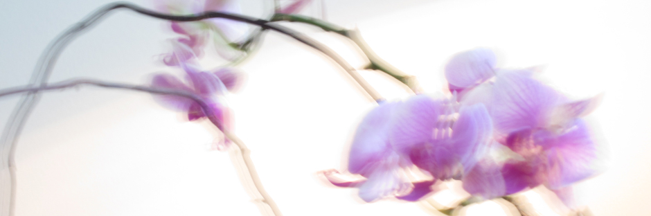 Psychotherapy is a personal, private, and intimate process that can change a person’s life.